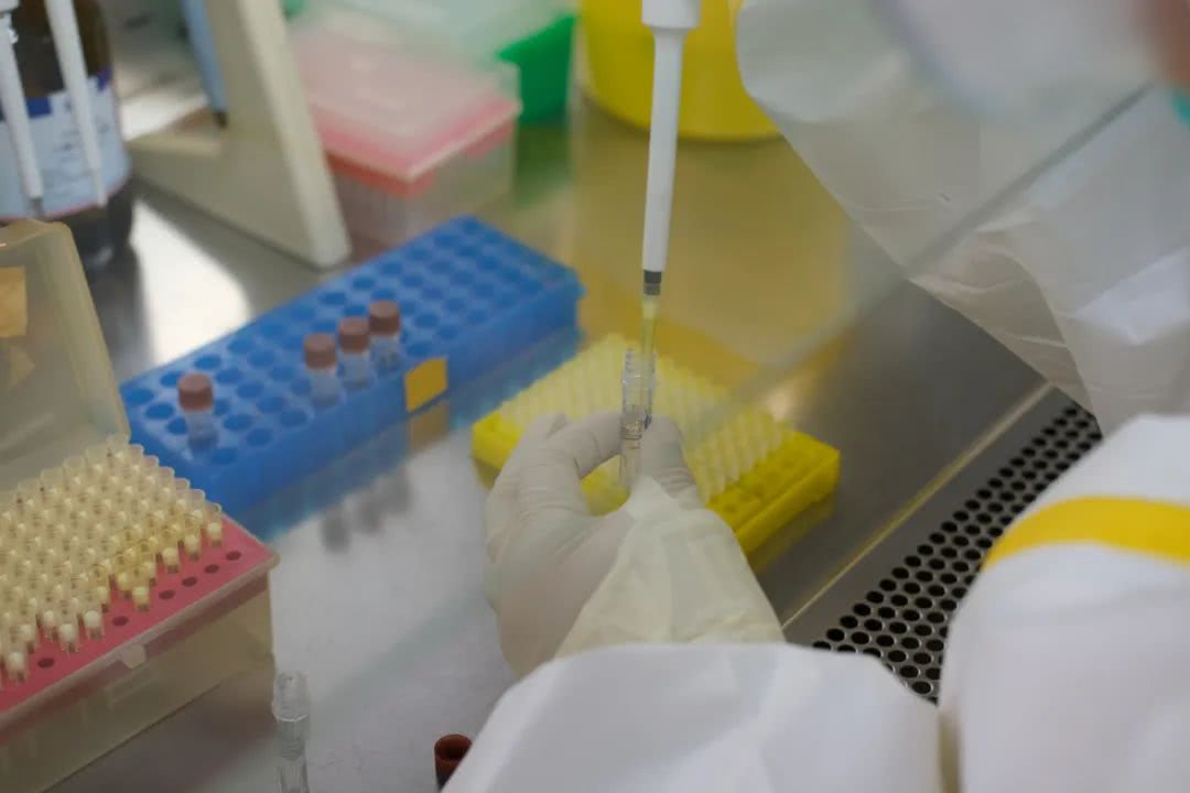 核酸檢測(cè)又降價(jià)！多地增設(shè)24小時(shí)檢測(cè)服務(wù)機(jī)構(gòu)